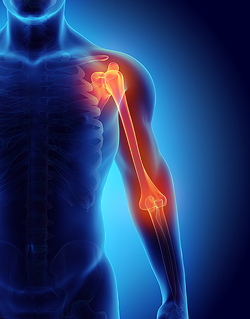 animated body with shoulder and elbow highlighted